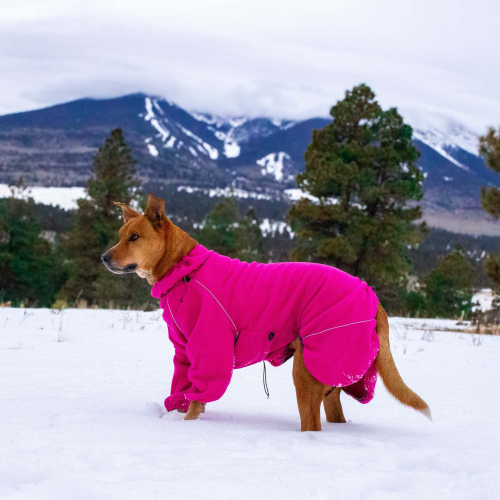 Cozy Hugger Jacket