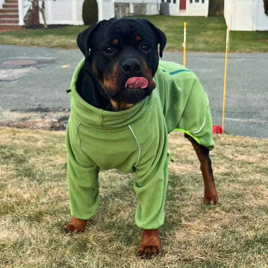 Cozy Hugger Jacket