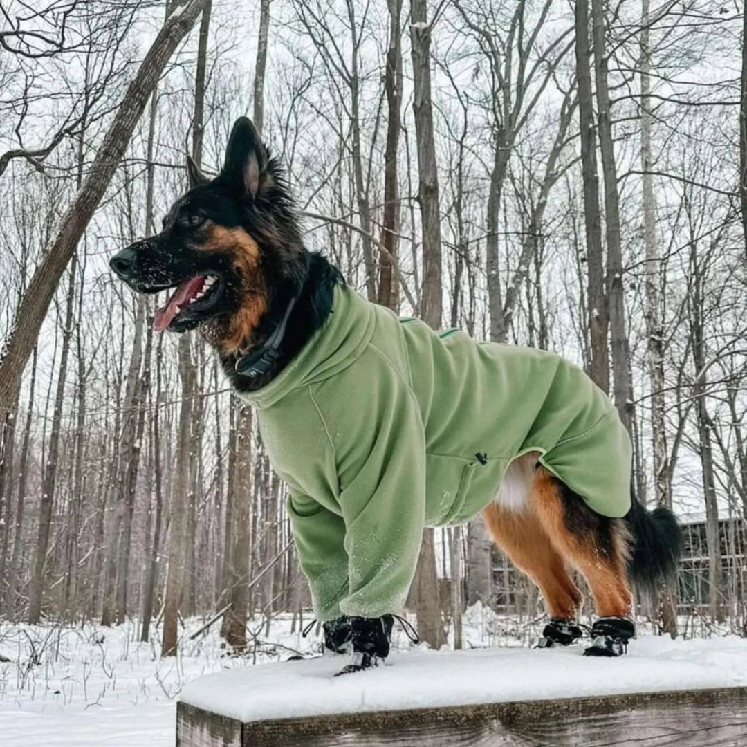 Cozy Hugger Jacket
