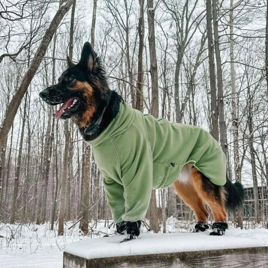 Cozy Hugger Jacket