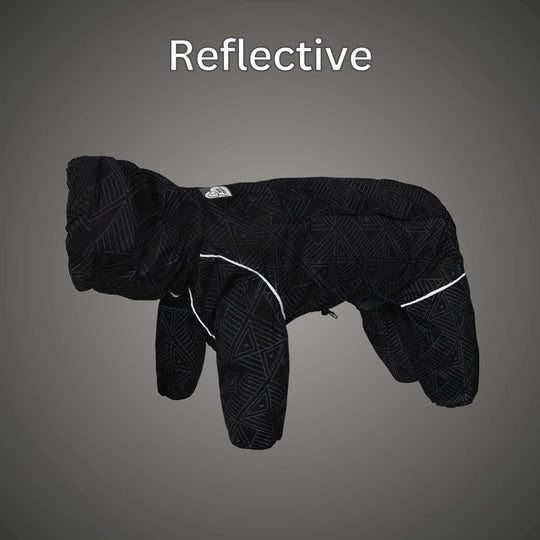 Puddle Jumper Dog Raincoats