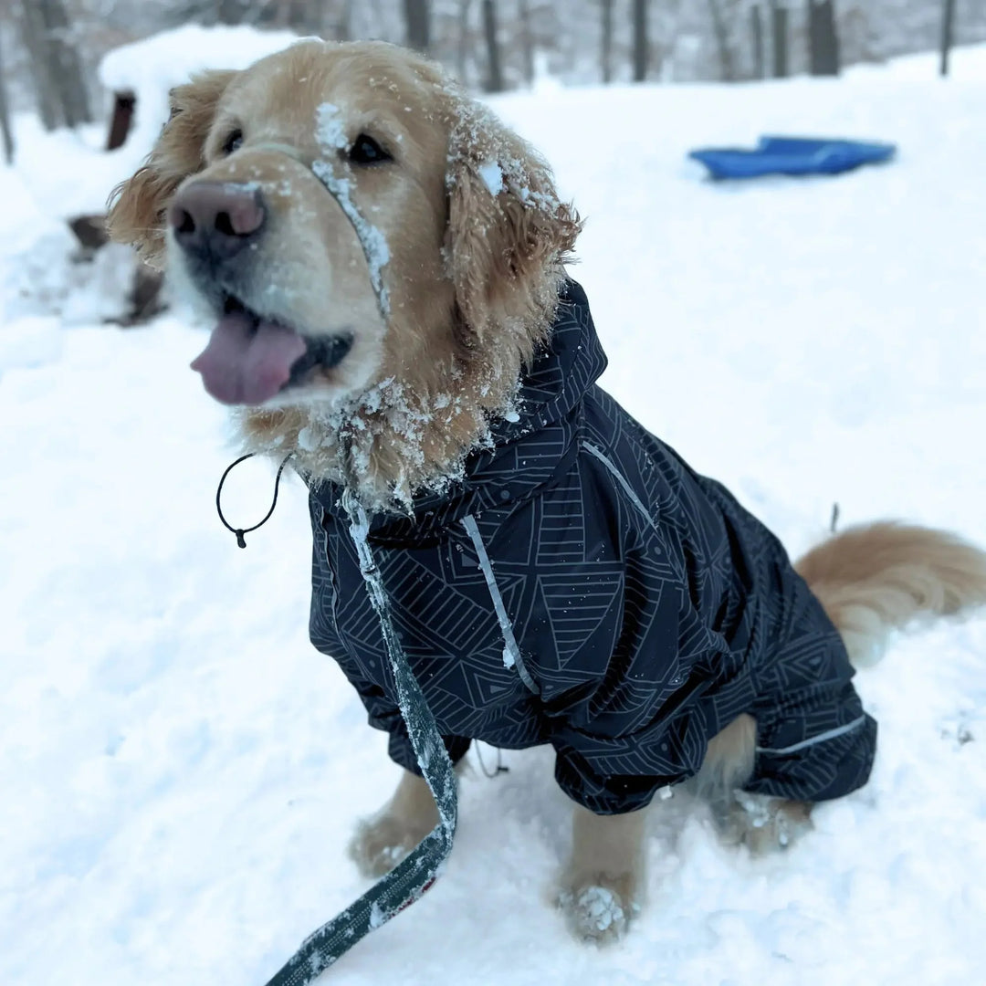 Puddle Jumper Dog Raincoats