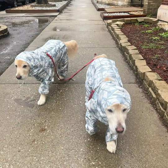 Puddle Jumper Dog Raincoats