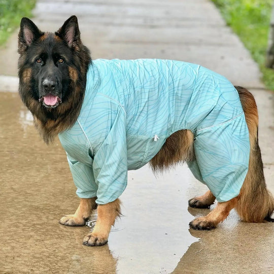 Puddle Jumper Dog Raincoats