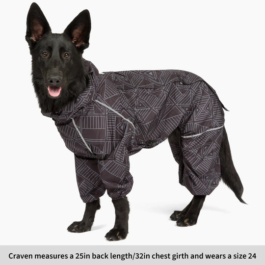 Puddle Jumper Dog Raincoats