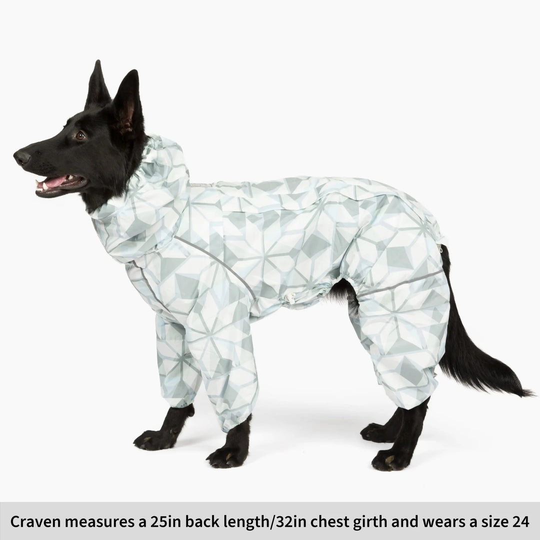 Puddle Jumper Dog Raincoats