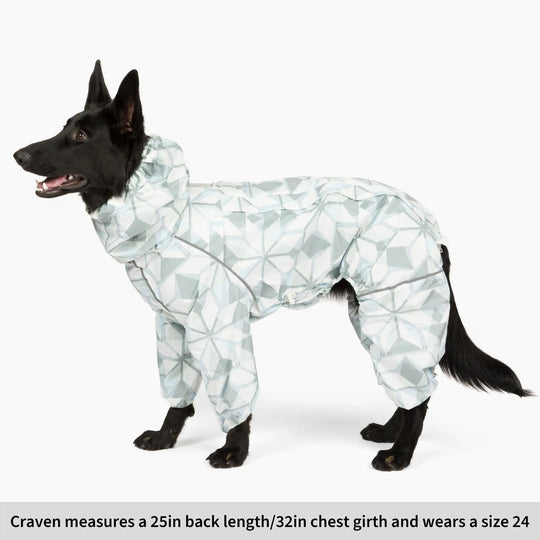 Puddle Jumper Dog Raincoats