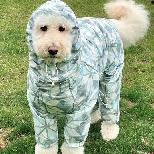 Puddle Jumper Dog Raincoats