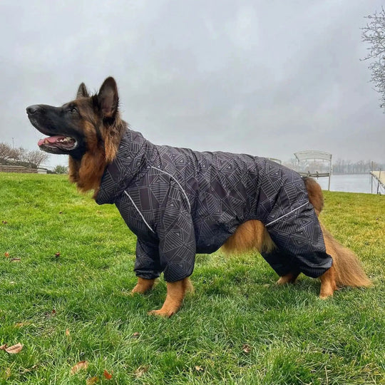 Puddle Jumper Dog Raincoats