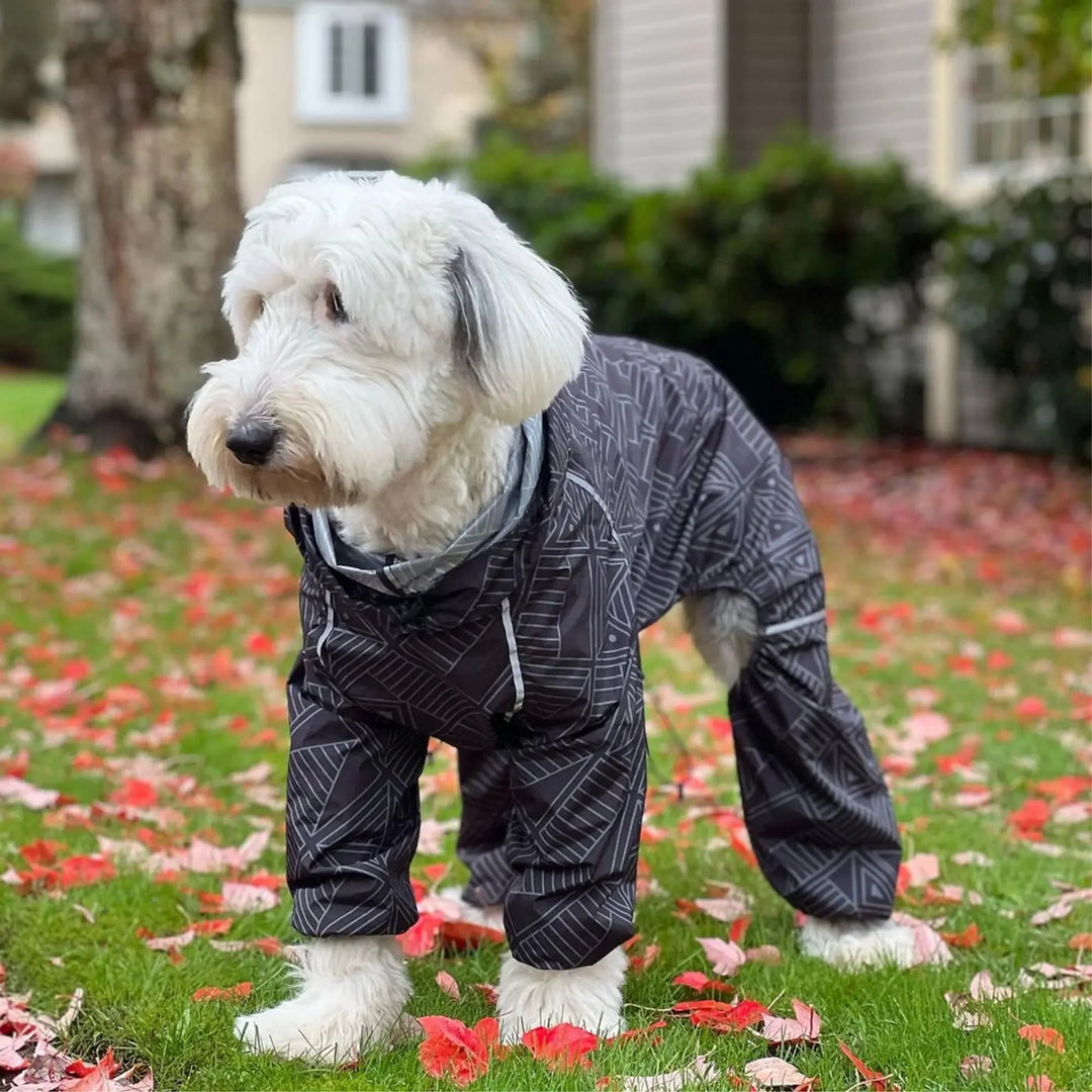 Puddle Jumper Dog Raincoats