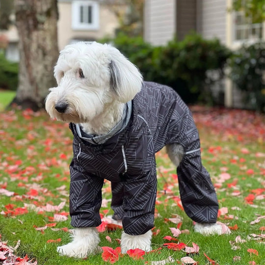 Puddle Jumper Dog Raincoats
