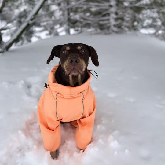 Snow Warrior Suit