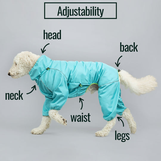 Snow Warrior Suit