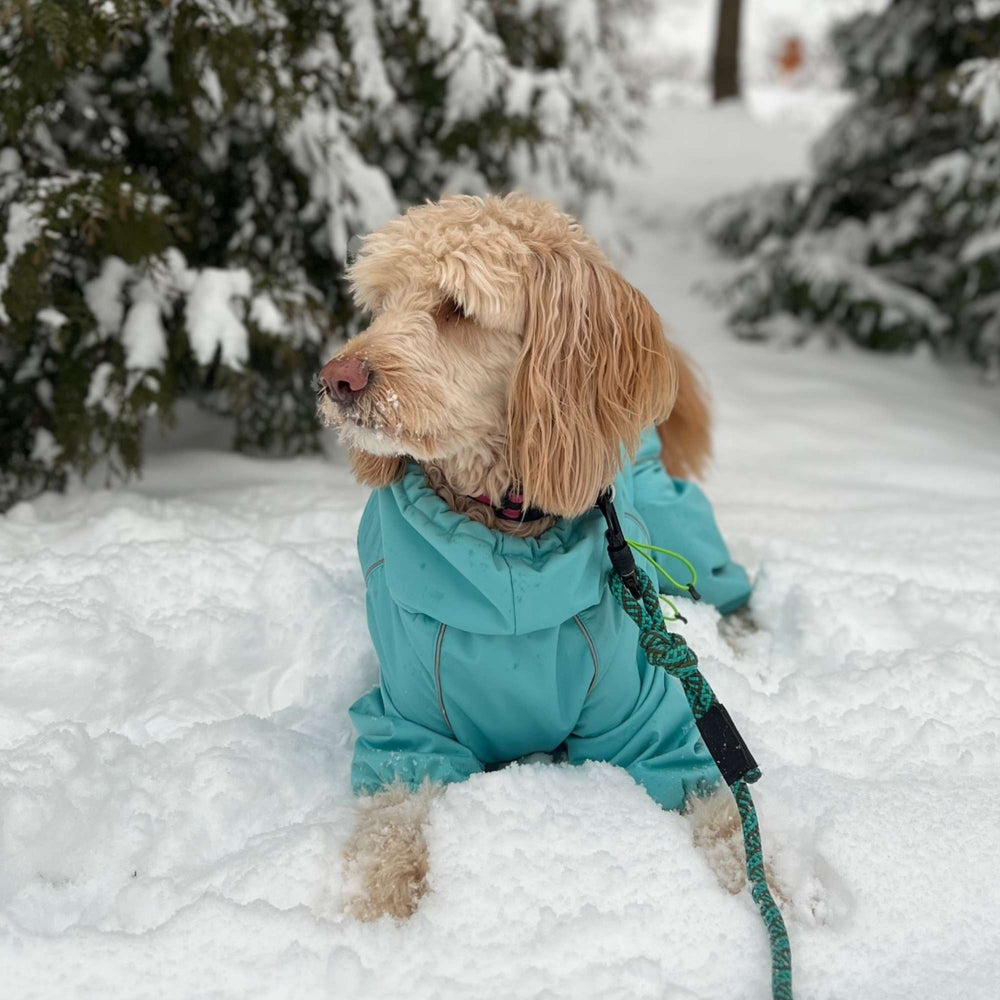 Snow Warrior Suit