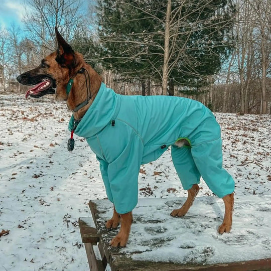 Snow Warrior Suit