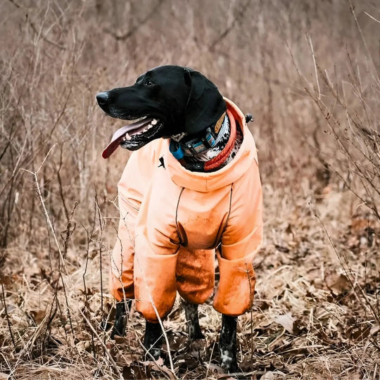Snow Warrior Suit